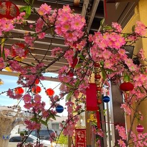 Meet your Posher, Vivian